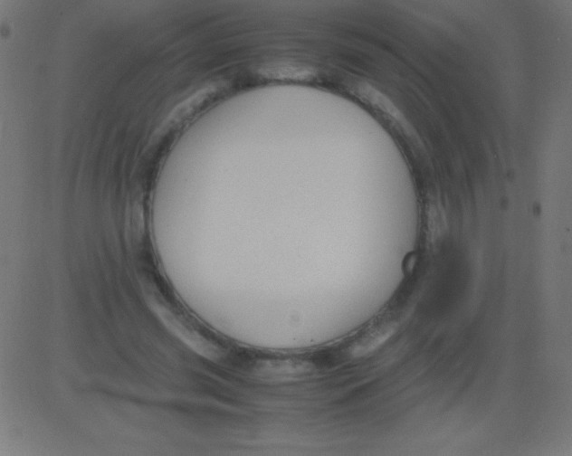 X0000081310541200702012337