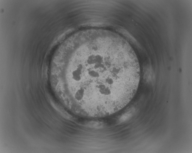 X0000081310542200702012337