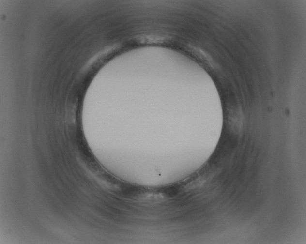 X0000081310543200702012337