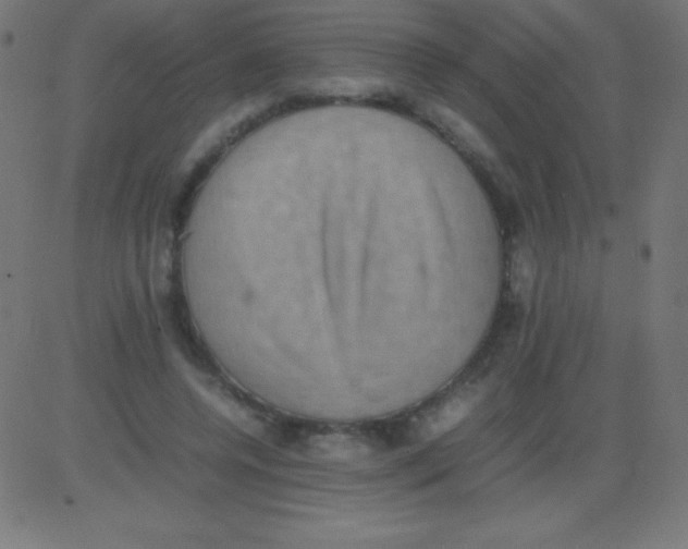 X0000081310544200702012337