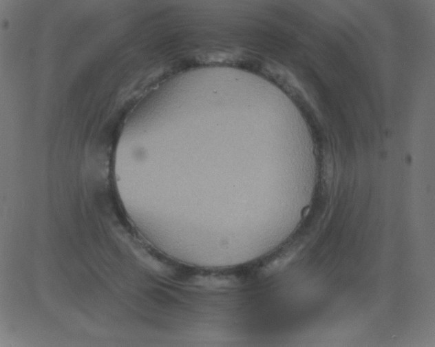 X0000081310545200702012337