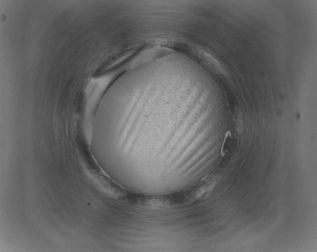 X0000081310546200702012337