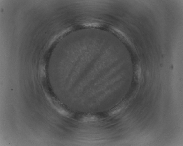 X0000081310547200702012337