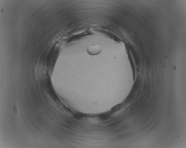 X0000081310548200702012337