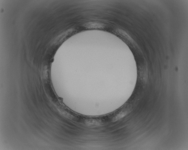 X0000081310549200702012337