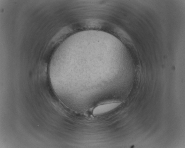 X0000081310550200702012337