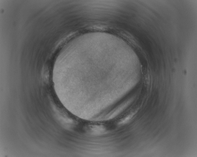 X0000081310552200702012337