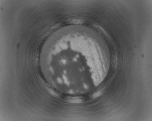 X0000081310553200702012337