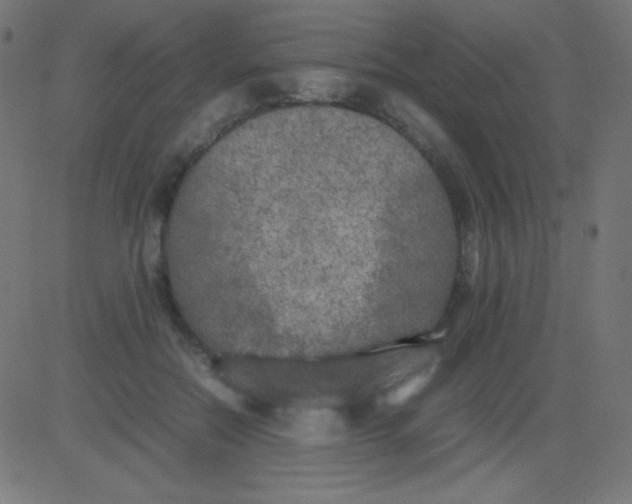 X0000081310554200702012337