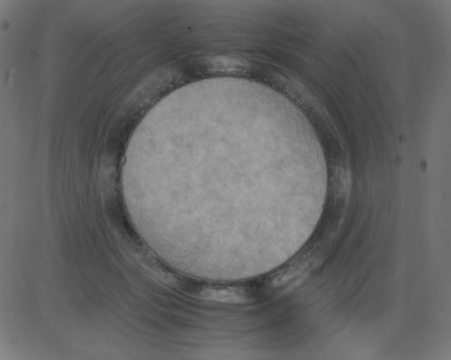 X0000081310557200702012337