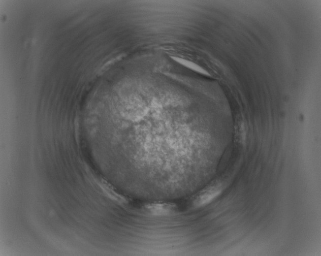 X0000081310558200702012337