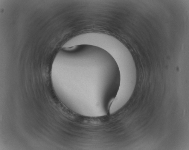 X0000081310559200702012337