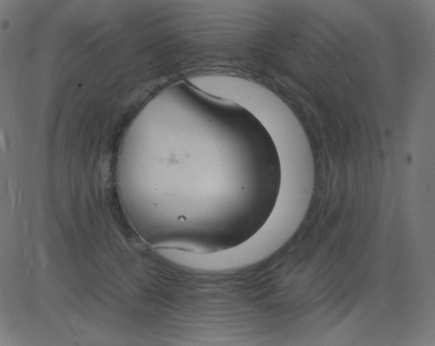 X0000081310560200702012337