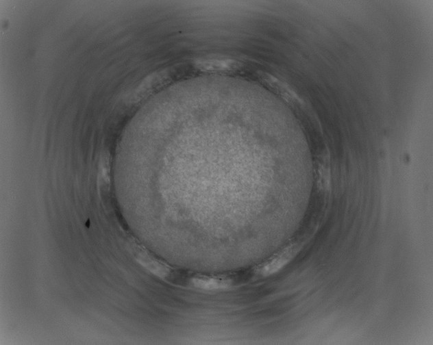 X0000081310561200702012337