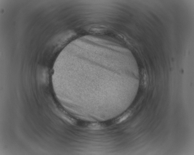 X0000081310562200702012337