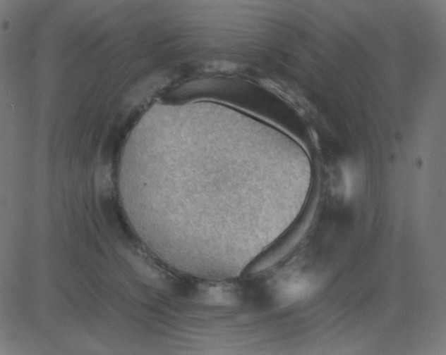 X0000081310564200702012337