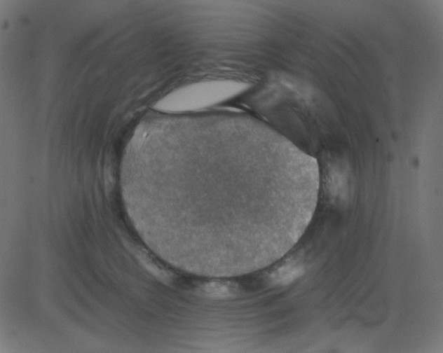 X0000081310566200702012337