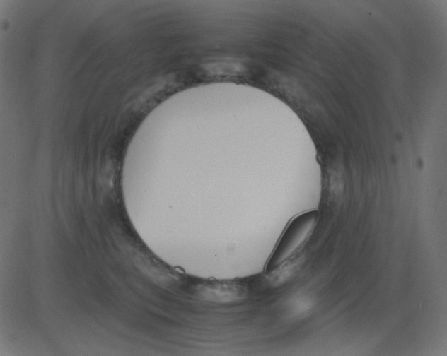 X0000081310567200702012337