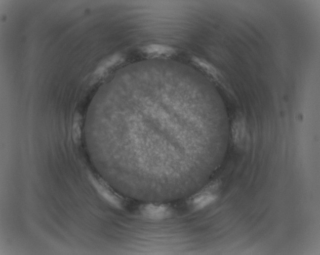 X0000081310570200702012337