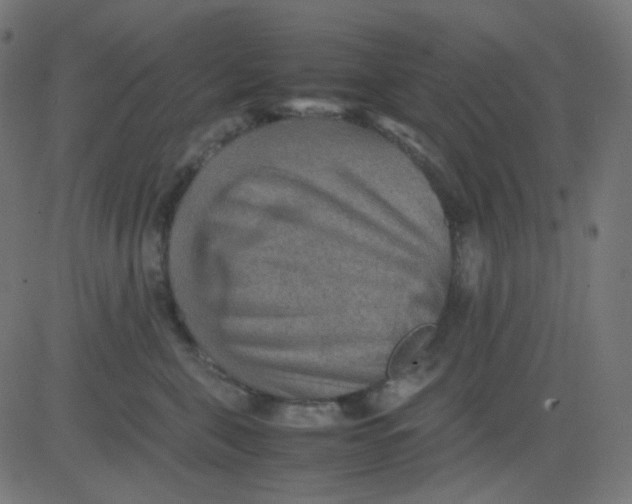 X0000081310571200702012337