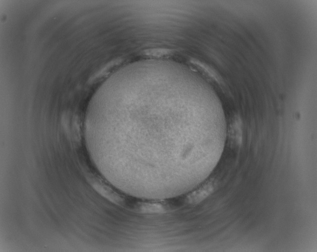 X0000081310572200702012337