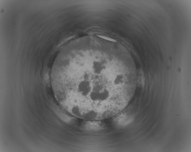 X0000081310573200702012337