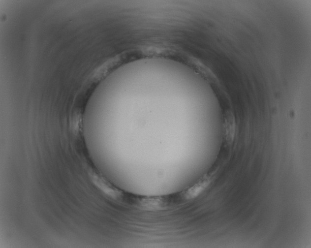 X0000081310574200702012337