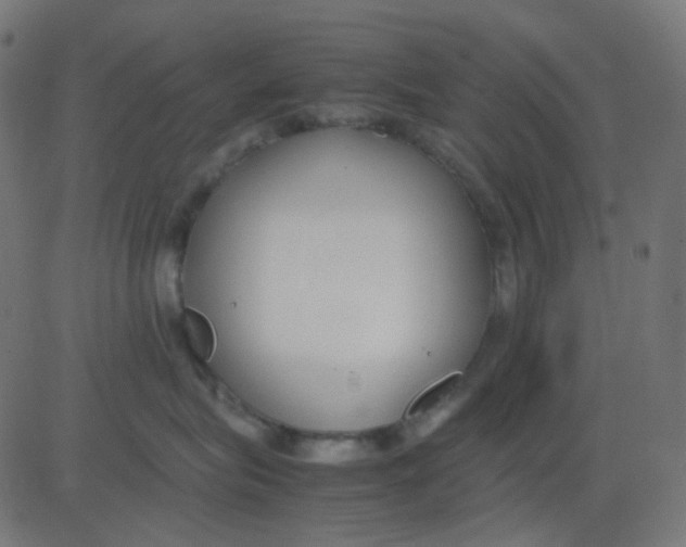 X0000081310575200702012337