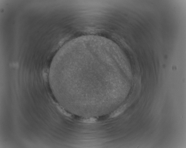 X0000081310576200702012337