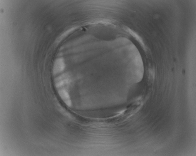 X0000081310577200702012336