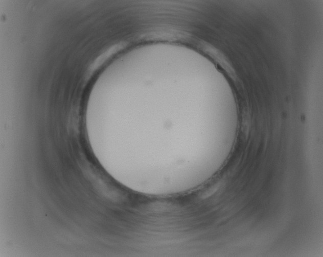 X0000081310578200702012336