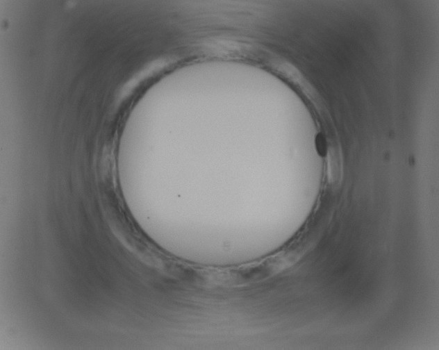 X0000081310579200702012336