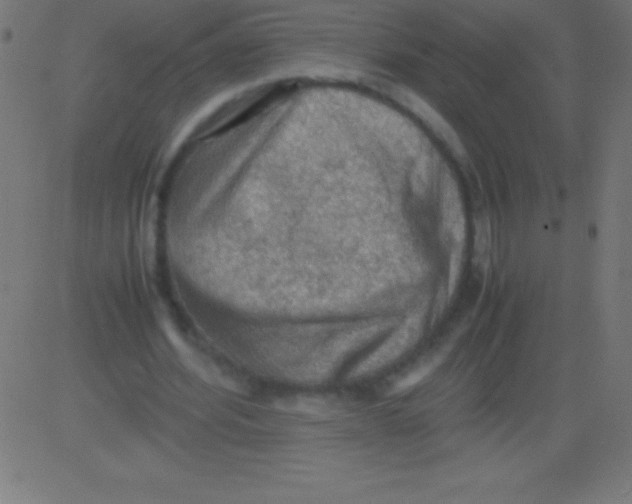 X0000081310580200702012336