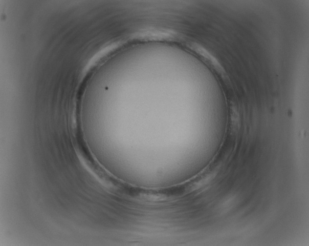 X0000081310582200702012336