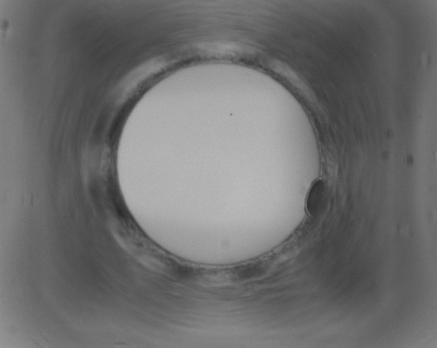 X0000081310583200702012336