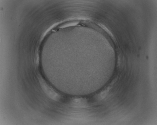 X0000081310584200702012336