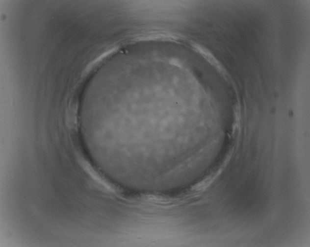 X0000081310585200702012336