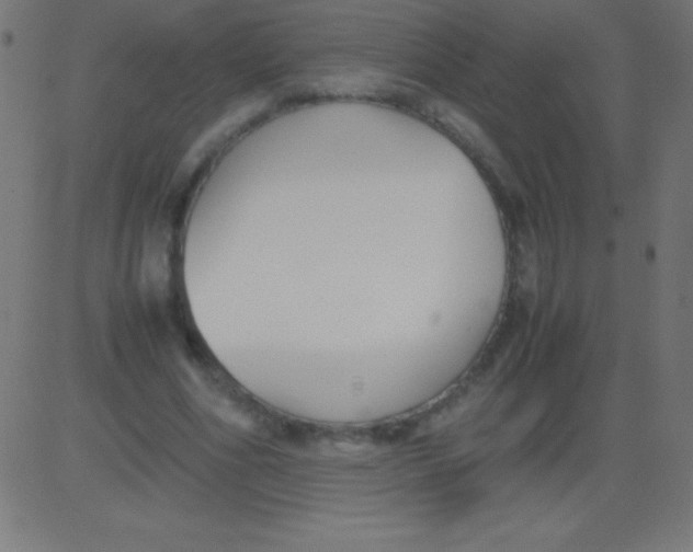 X0000081310586200702012336