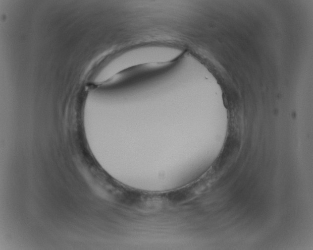 X0000081310587200702012336