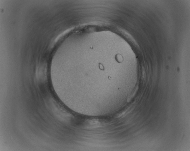 X0000081310588200702012336