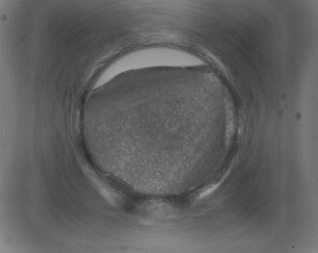 X0000081310589200702012336