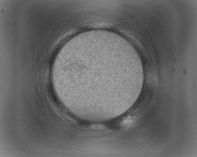 X0000081310591200702012336