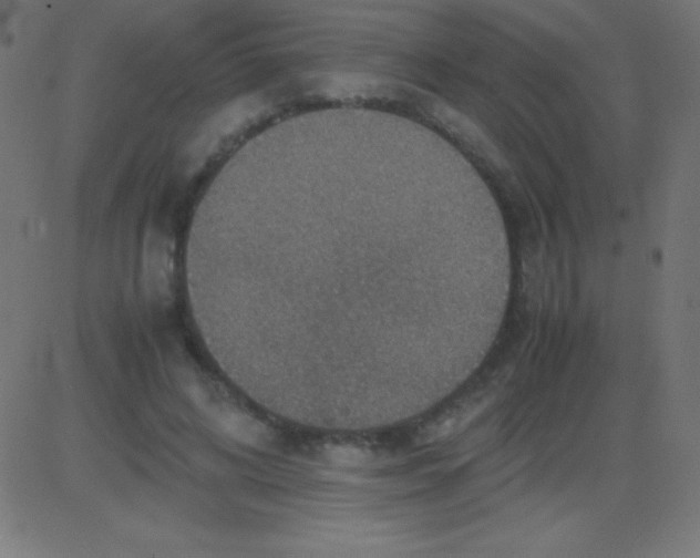 X0000081310592200702012336