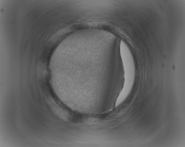 X0000081310593200702012336