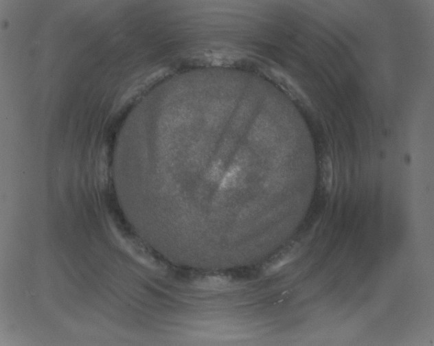 X0000081310594200702012336