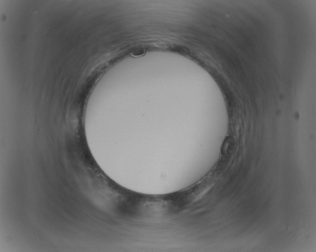 X0000081310595200702012336