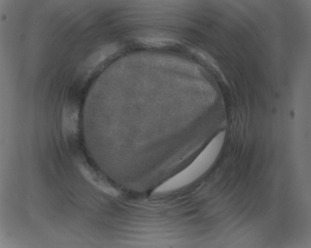 X0000081310596200702012336