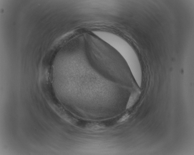 X0000081310597200702012336