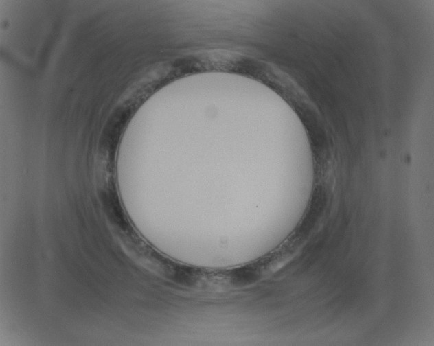 X0000081310599200702012336