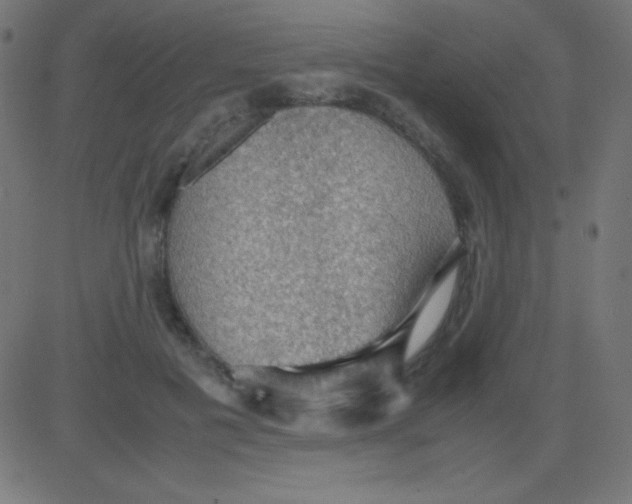 X0000081310601200702012336